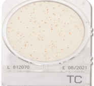 Đĩa Compact Dry Tổng Khuẩn Hiếu Khí | Total Viable Count Nissui