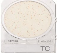 Đĩa Compact Dry Tổng Khuẩn Hiếu Khí | Total Viable Count Nissui