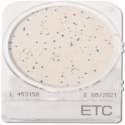 Đĩa Compact Dry Enterococcus | Enterococcus ETC Nissui