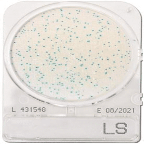 Đĩa Compact Dry kiểm tra Listeria