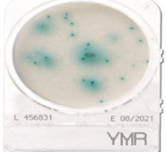 Đĩa Compact Dry men mốc nhanh | Yeast and Mold Rapid Nissui