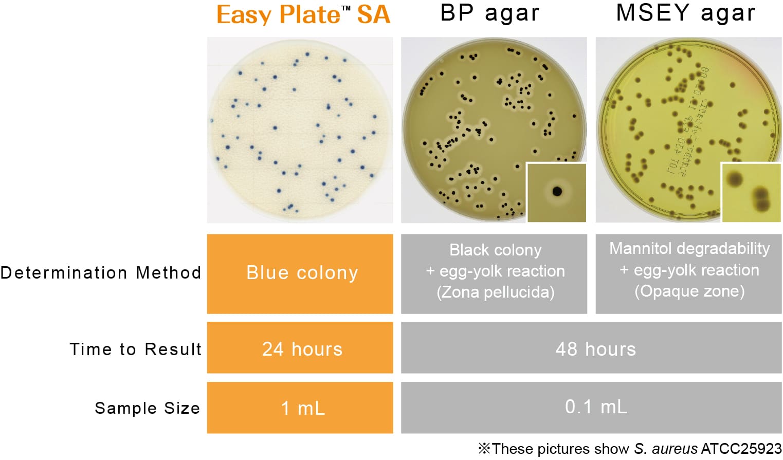 Đĩa Easy Plate Staphylococcus Aureus