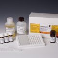Casein Allergen ELISA Test Kit | RIDASCREEN®FAST Casein R4612