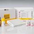 Gliadin Allergen ELISA Test Kit | RIDASCREEN® Gliadin R7001