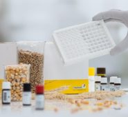 Kit ELISA định lượng Aflatoxin B1 | RIDASCREEN® Aflatoxin B1 30/15